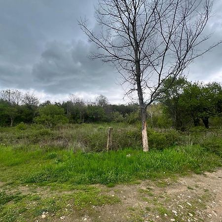 Къмпинг Частен Двор Bulgarian Campsite For Tents カザンラク エクステリア 写真