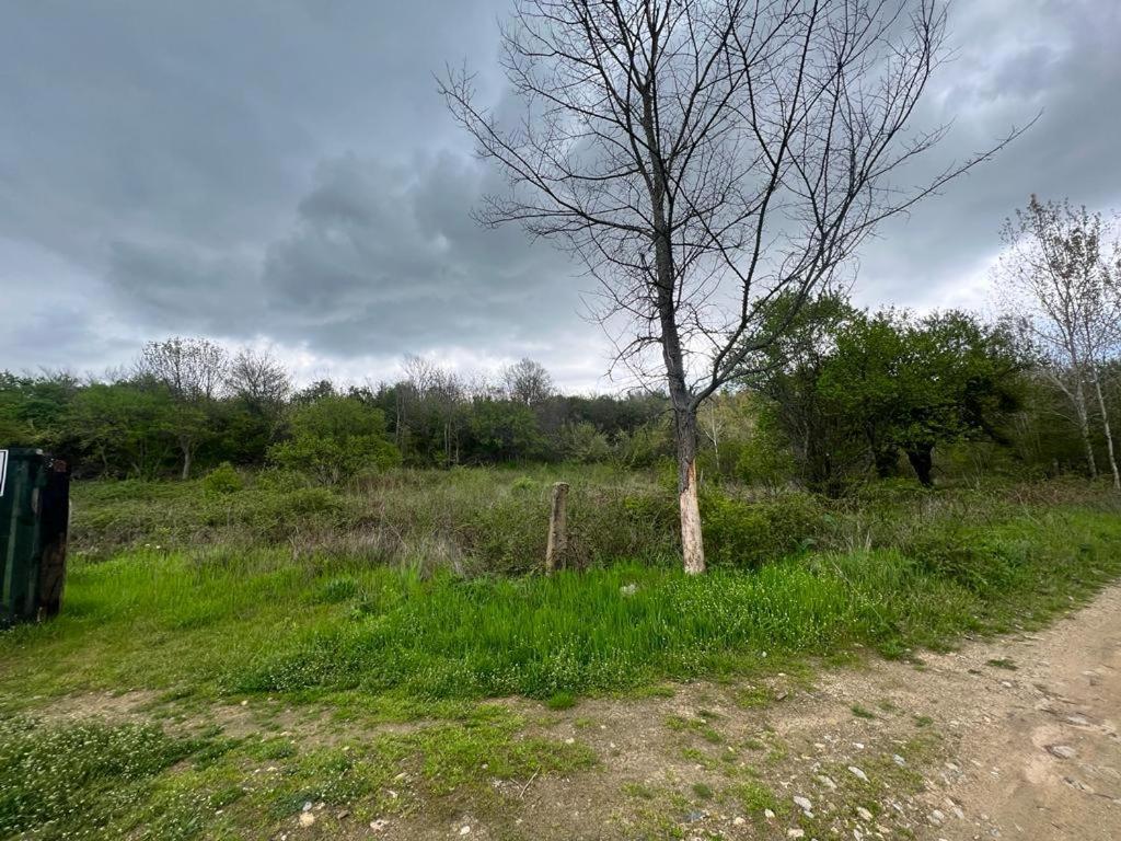 Къмпинг Частен Двор Bulgarian Campsite For Tents カザンラク エクステリア 写真