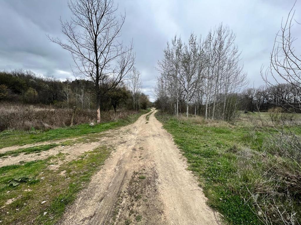 Къмпинг Частен Двор Bulgarian Campsite For Tents カザンラク エクステリア 写真