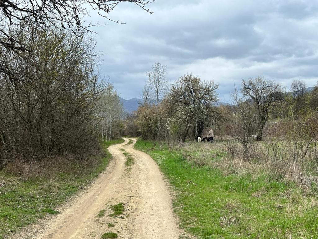 Къмпинг Частен Двор Bulgarian Campsite For Tents カザンラク エクステリア 写真